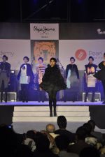 at Pepe Jeans music stage at Kalaghoda Festival on 14th Feb 2015